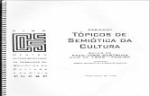 Tópicos de Semiótica da Cultura