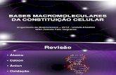 BASES MACROMOLECULARES DA CONSTITUIÇÃO CELULAR - 08 -03