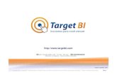 Target BI - Soluções inteligentes para sua empresa