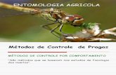 Entomologia Agricola aula 2