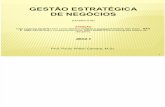 GESTÃO ESTRAT NEG_matPPT 2012_1