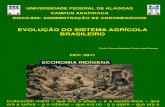 Evolução da Agricultura Brasileira