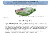 Célula Vegetal - Vacúolo - Renes Pinheiro