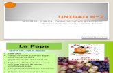 12.- Productos americanos- papa, tomate, frijol, quinua,maíz, ají