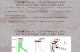 Citologia - Organização Estrutural das Células
