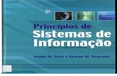 Capítulo 1 - Princípio de Sistema de Informação - Ralph M. Stair