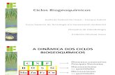 Ciclos biogeoquímicos. PDF