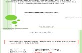 Micronutriente Zinco