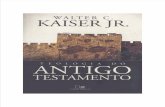 Walter C. Kaiser Jr - Teologia Do Antigo Test Amen To