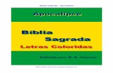 Bíblia Sagrada Apocalipse Letras Coloridas