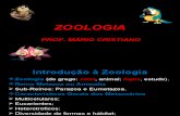 Introdução à Zoologia
