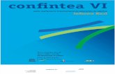Confinteavi Final Report Spanish Online