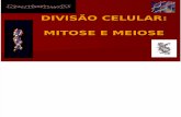 DIVISÃO CELULAR - MITOSE E MEIOSE
