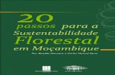 20 Passos Para a Sustentabilidade Florestal Em Mocambique