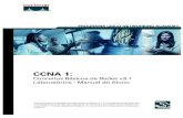 Manual dos laboratórios - CCNA1 v3.1