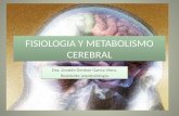 Fisiologia y Metabolismo Cerebral