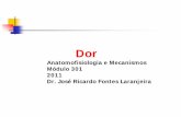Dor - Anatomofisiologia e Mecanismos