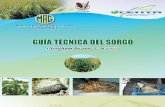 2007. CENTA. Guía Técnica del Cultivo de Sorgo