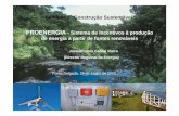 PROENERGIA: Sistema de Incentivos à produção de Energia a Partir de Fontes Renováveis – José Cabral Vieira (DRE – Direcção Regional da Energia)