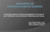 Desenvolvimento Mineiro - CONCRETAGEM E APROFUNDAMENTO DO SHAFT EM TERRENO COM GRANDE PRESENÇA DE ÁGUA
