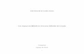Dissertação de Mestrado - UNICAMP João de Ricardo Cia. Espaço em BRANCO Processos Híbridos de Criação