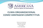 Cultura Organizacional como Vantagem Competitiva (estudo caso empresas saúdaveis para trabalhar)