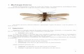 Apostila Entomologia Geral