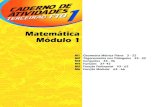 Terceirão FTD - Matematica - Caderno de Atividades 01