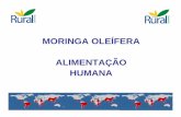 Moringa Oleifera - Alimentação humana