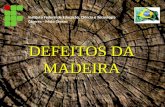 Defeitos Da Madeira