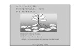 Nutricao Mineral 2