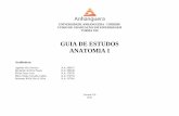 Guia de Anatomia