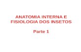 Anatomia Interna e Fisiologia Dos Insetos Parte 1
