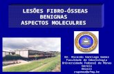 Lesoes Fibro-Ósseas Benignas: Aspectos Moleculares
