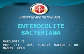 Enterocolite Bacteriana - Pato II - p2 (1)