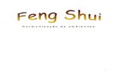 Feng Shui Harmonização de Ambientes