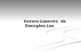 Gerenciamento de Emergencias(1)