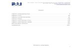 Caderno Questoes_Jus Decisium-Dieito Administrativo,Cosntitucional,Penal