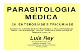 REY - Parasitologia - 20