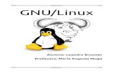 Mini monografía (GNU/Linux)