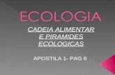 Biologia PPT - Aula 2 - Piramides Ecológicas