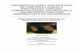 2008 - Diagnóstico geral das prásticas de controle ligadas a exploração captura comercialização exportação e uso de peixes para fins ornamentais e de aquariofilia - IBAMA