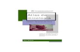 87348144 Atlas de Micologia Gilson Tavares