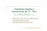 Coletânea Gestão e Governança de TI - TCU -  Hério Oliveira - amostra.pdf