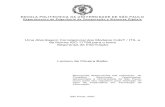 41 - Monografia - Uma Abordagem Correlacional Dos Modelos CobiT ITIL e Da Norma ISO 17799