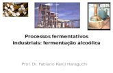 Aula 5 - Processos fermentativos industriais - Fermentação alcoolica