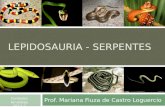 Lepidosauria - serpentes