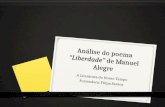Liberdade Manuel Alegre