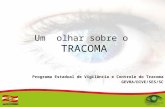 Palestra Tracoma