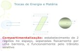 Biofísica das membranas biológicas_aula1_2013.pdf